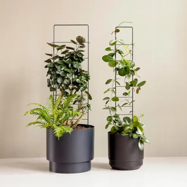 Kekkilä Vihertuki Linja 15 cm - Image 3