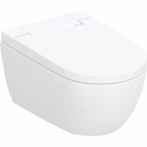 WC-ISTUIN SEINÄ GEBERIT AQUACLEAN ALBA PESEVÄ