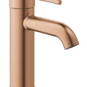 PESUALLASHANA GROHE 24232DL1 ESSENCE