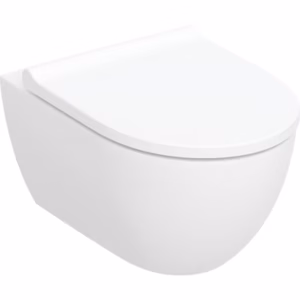 WC-ISTUIN SEINÄ GEBERIT ACANTO TURBOFLUSH KANSI SC/QR