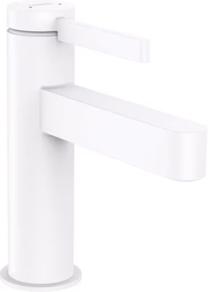 PESUALLASHANA HANSGROHE 76010700 FINORIS 100 PUSH VALK