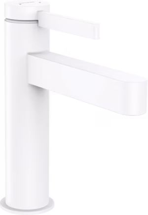 PESUALLASHANA HANSGROHE 76023700 FINORIS 110 PUSH VALK