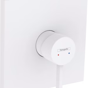 PINTAOSA HANSGROHE 76615703 FINORIS SUIHKU VALK